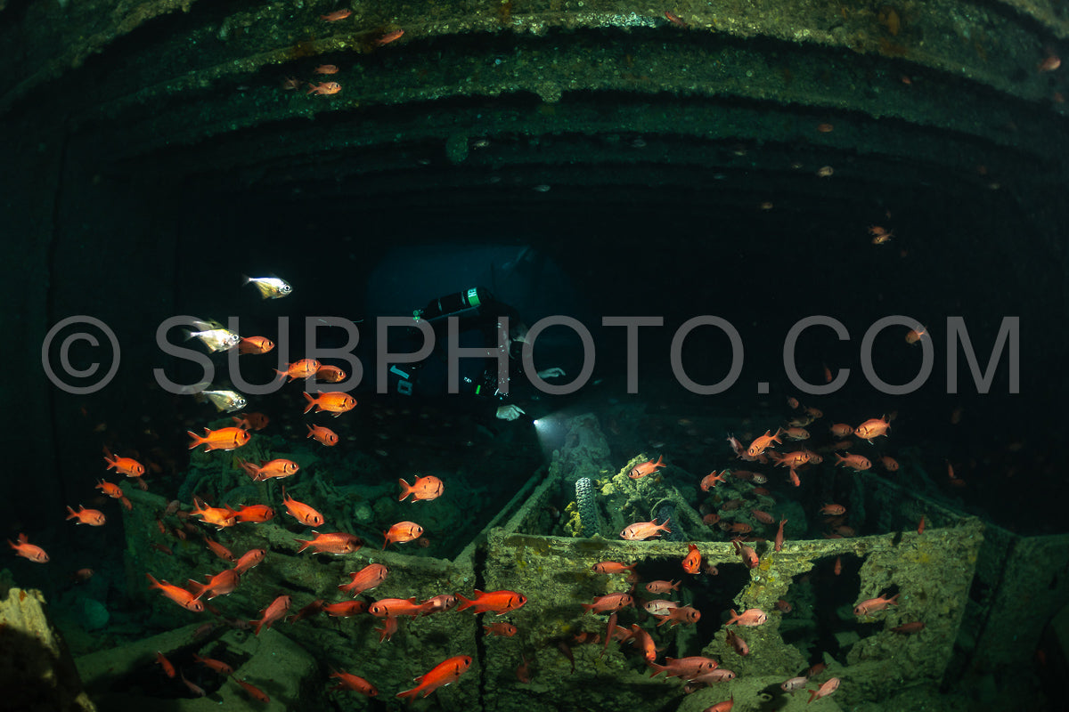 A diver- equipped with a rebreather- swims through a dark- sunken ship. The diver is silhouetted against the opening to the ship's interior. A school of small- orange fish swims around the wreckage.
