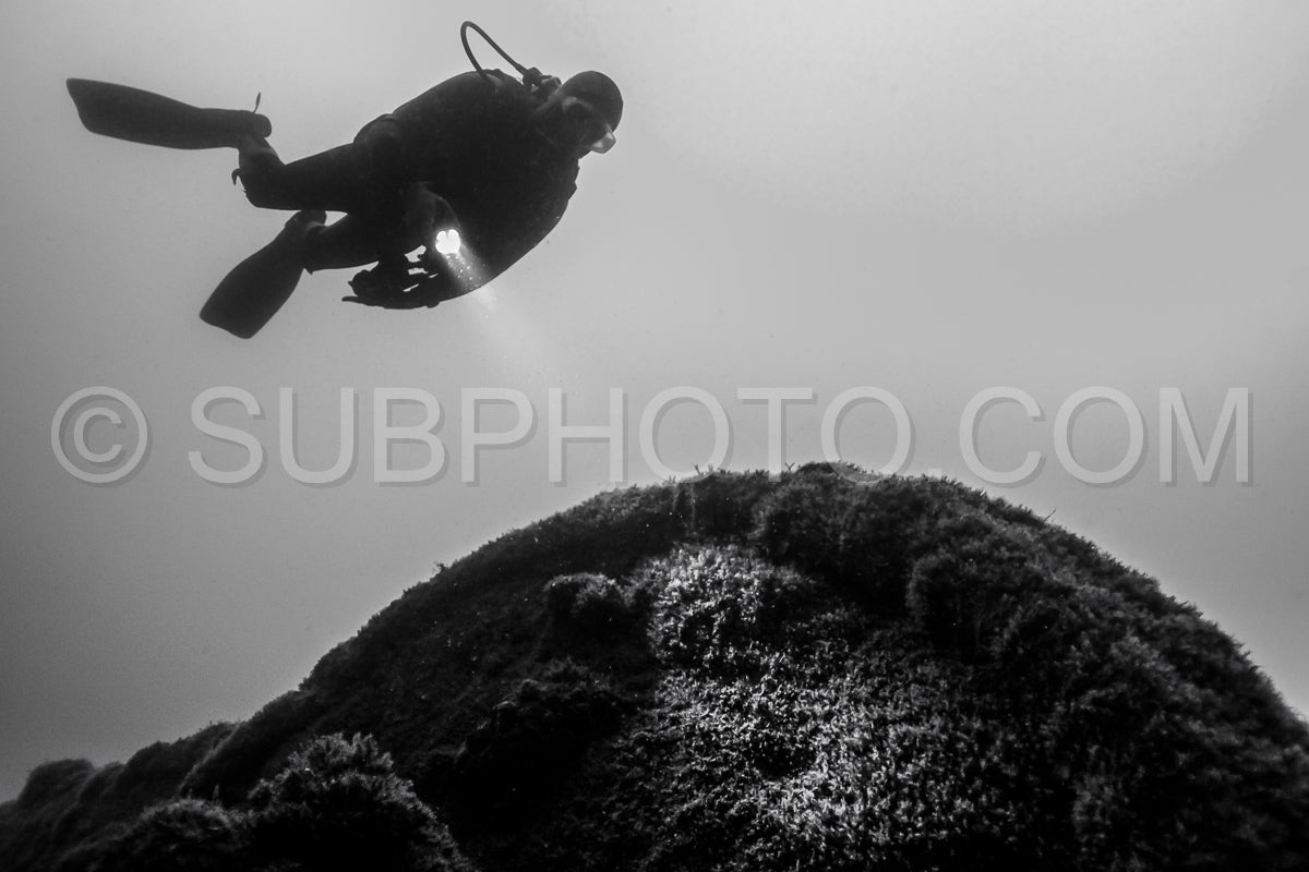 Diver in front of the Ville de Rochefort wreck in Brittany