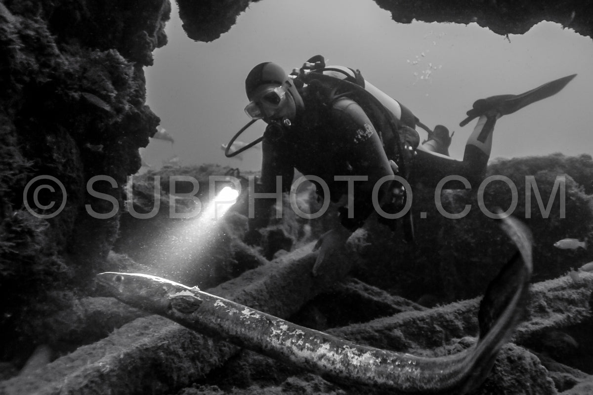 Diver in front of the Ville de Rochefort wreck in Brittany