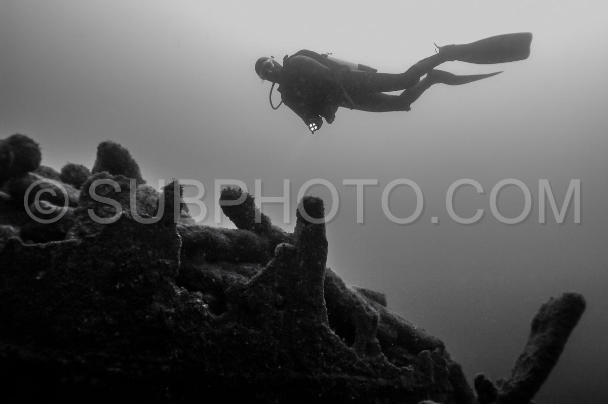 Diver in front of the Ville de Rochefort wreck in Brittany