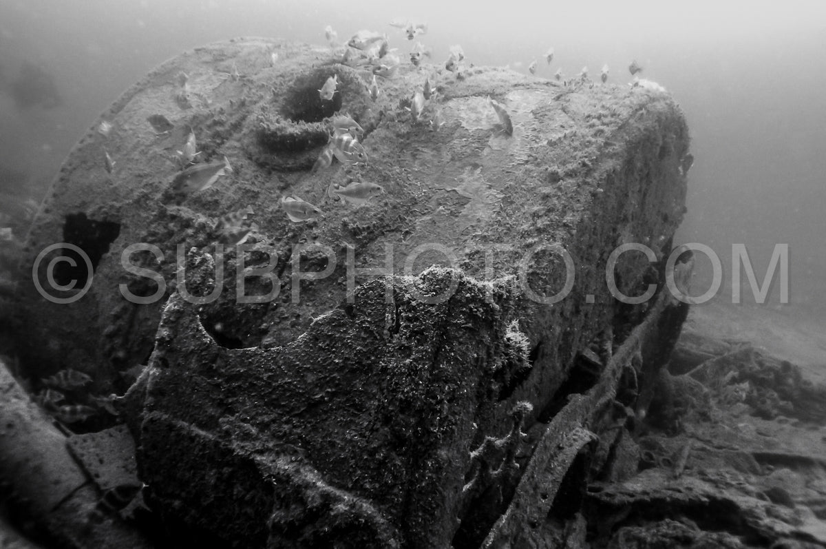 Diver in front of the Ville de Rochefort wreck in Brittany