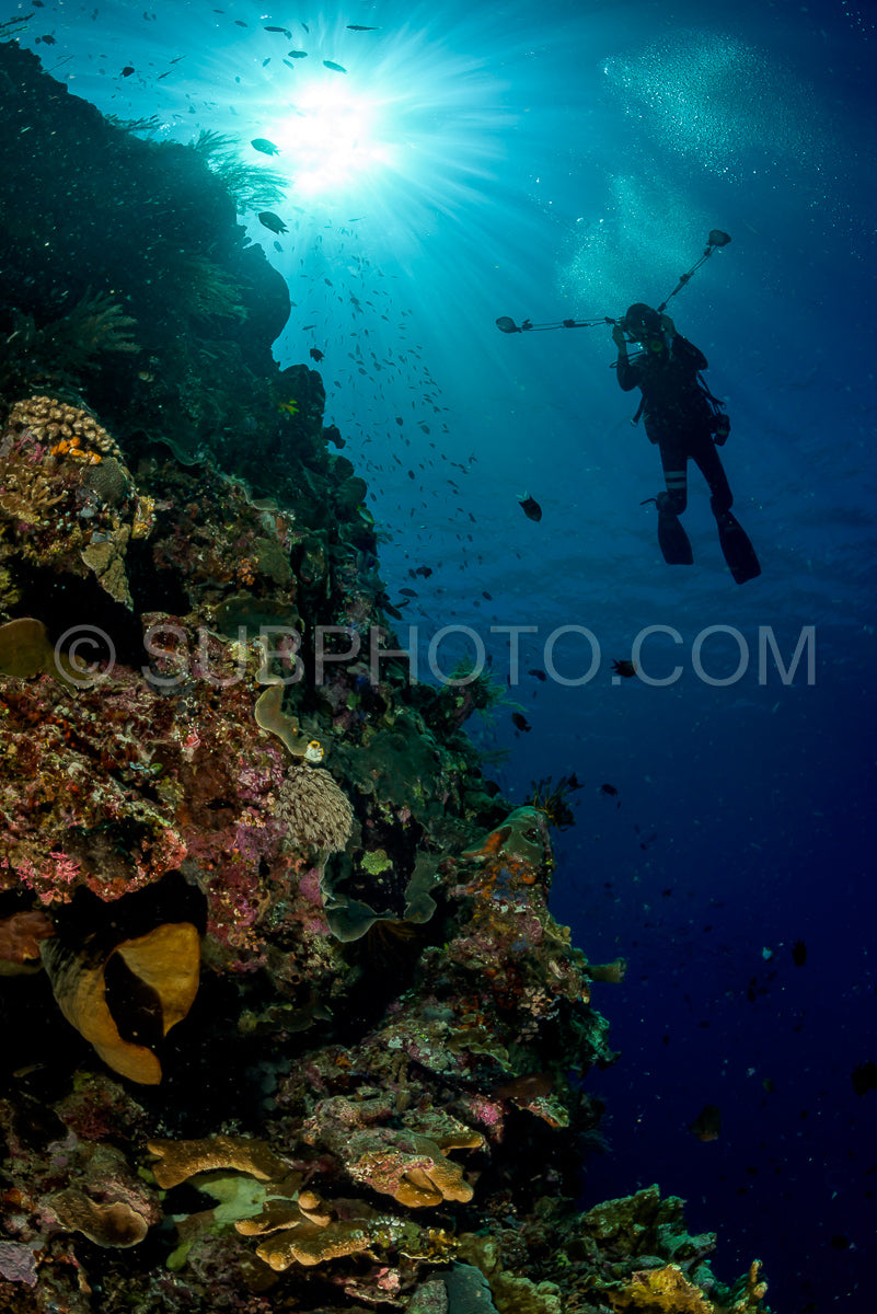 underwater photographer shooting a tropical reef with sun on the surface