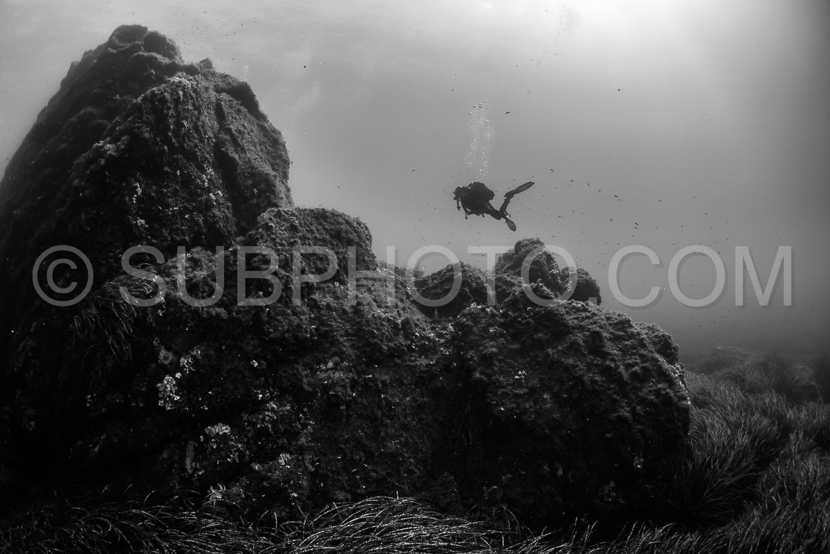 woman scuba diving over rocks in the Mediterranean Sea