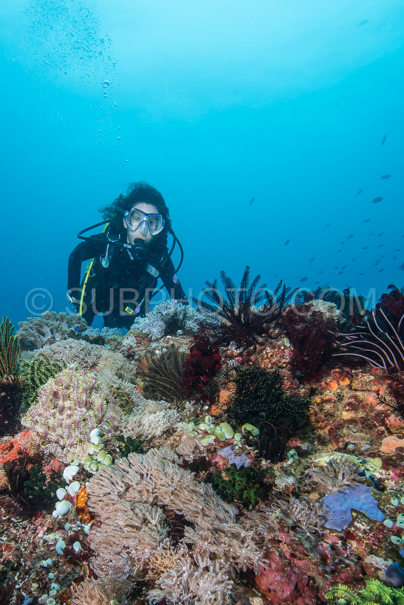 woman scuba diving on a tropical reef