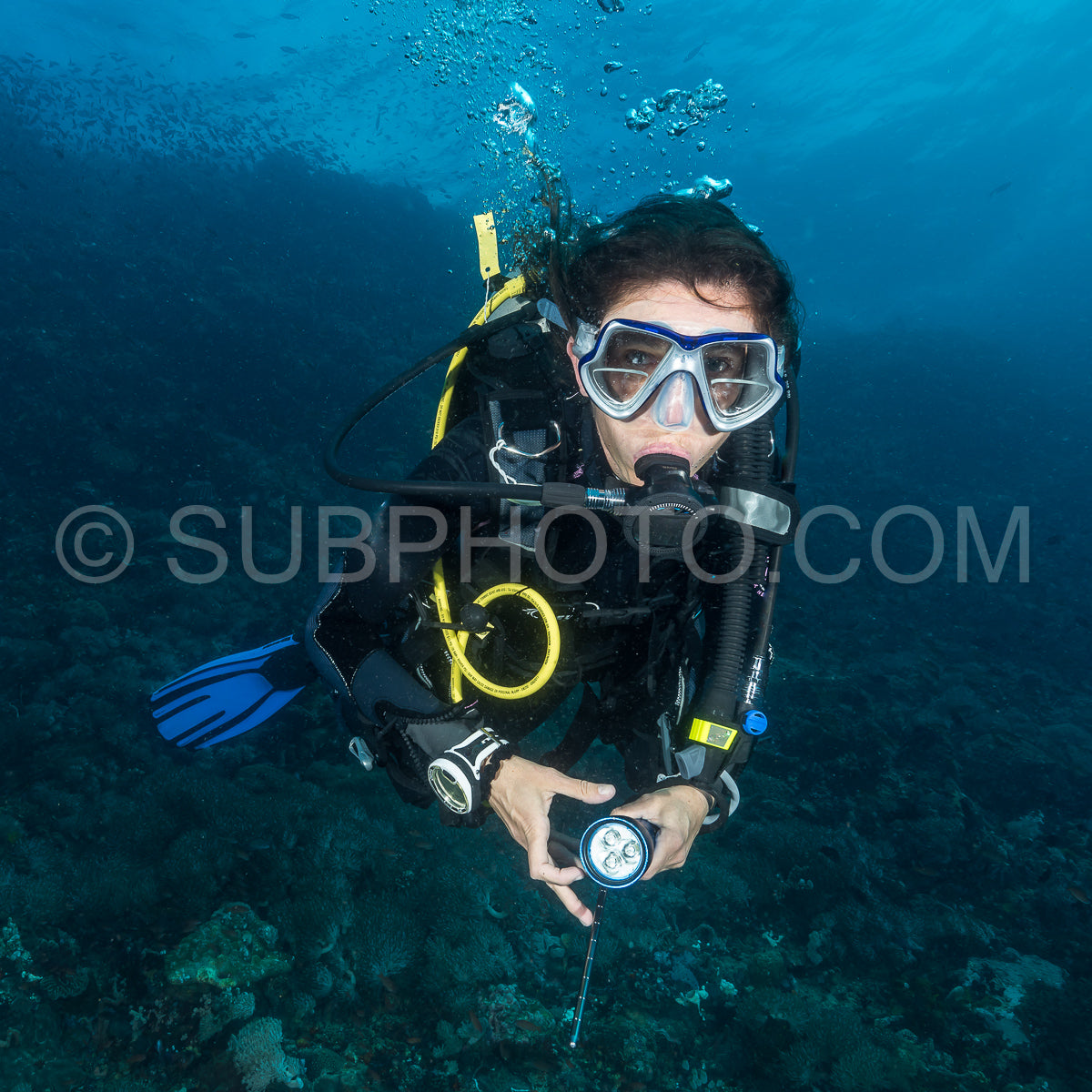 woman scuba diving on a tropical reef in the Philippines