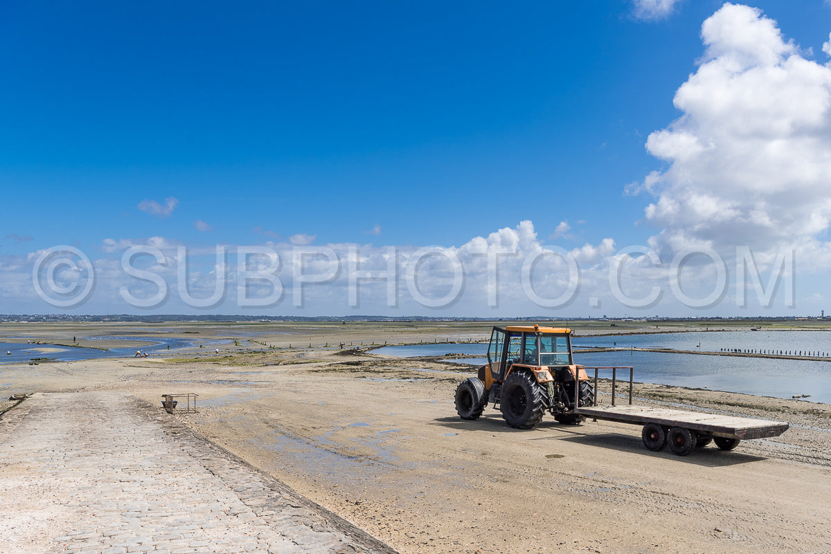 Le grand Traict- low tide- Le Croisic- Bretagne- France
