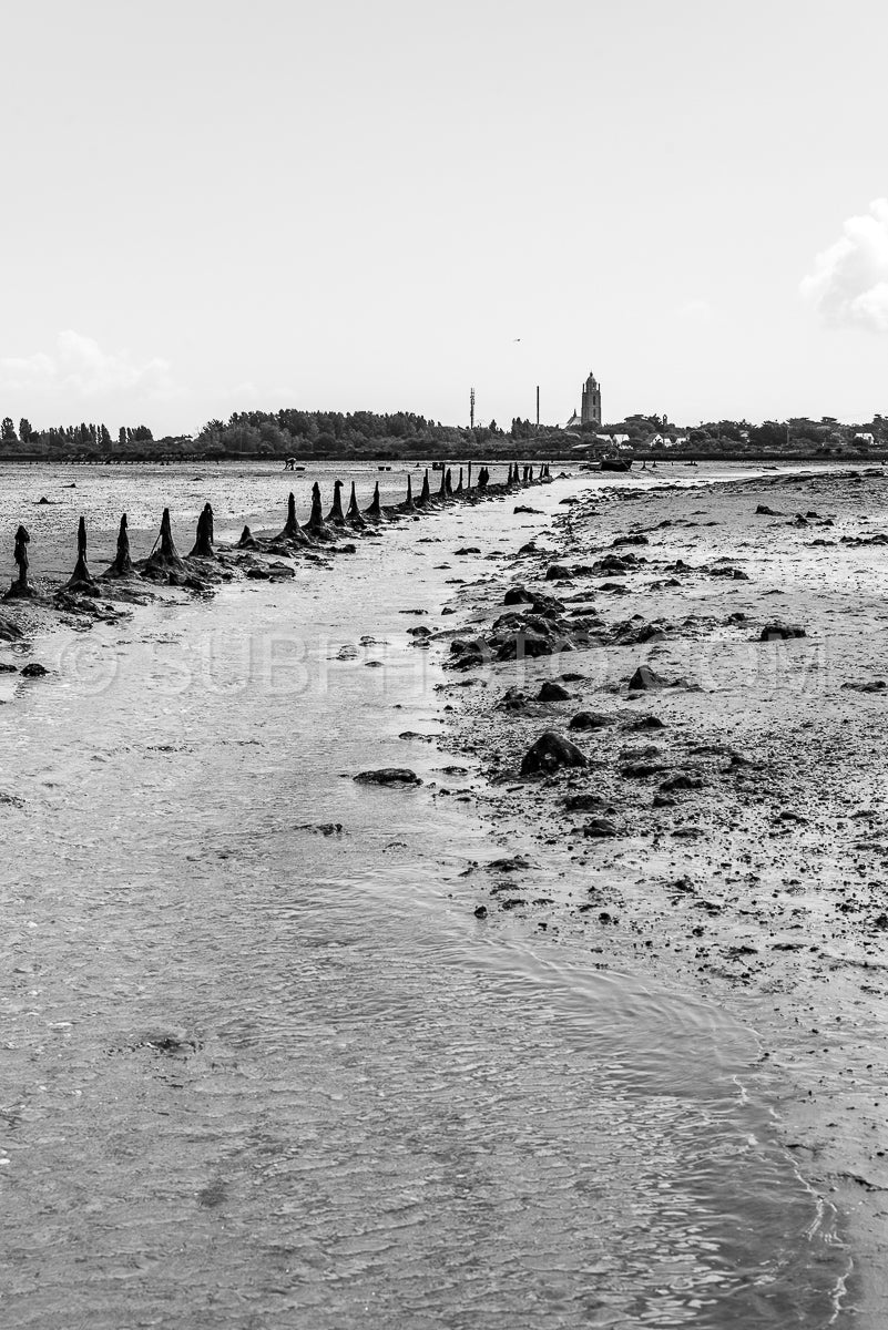Le grand Traict- low tide- Le Croisic- Bretagne- France
