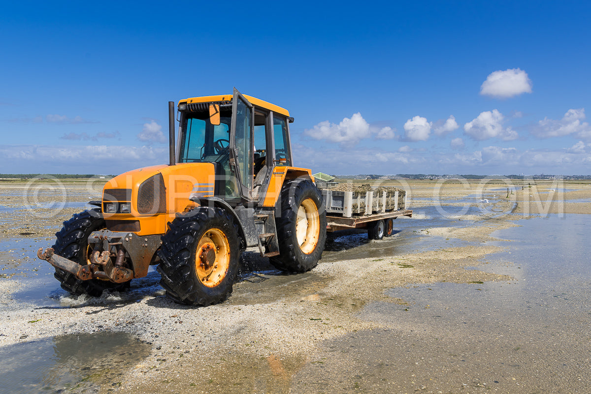 Photo de Le grand Traict - marée basse - récolte des palourdes