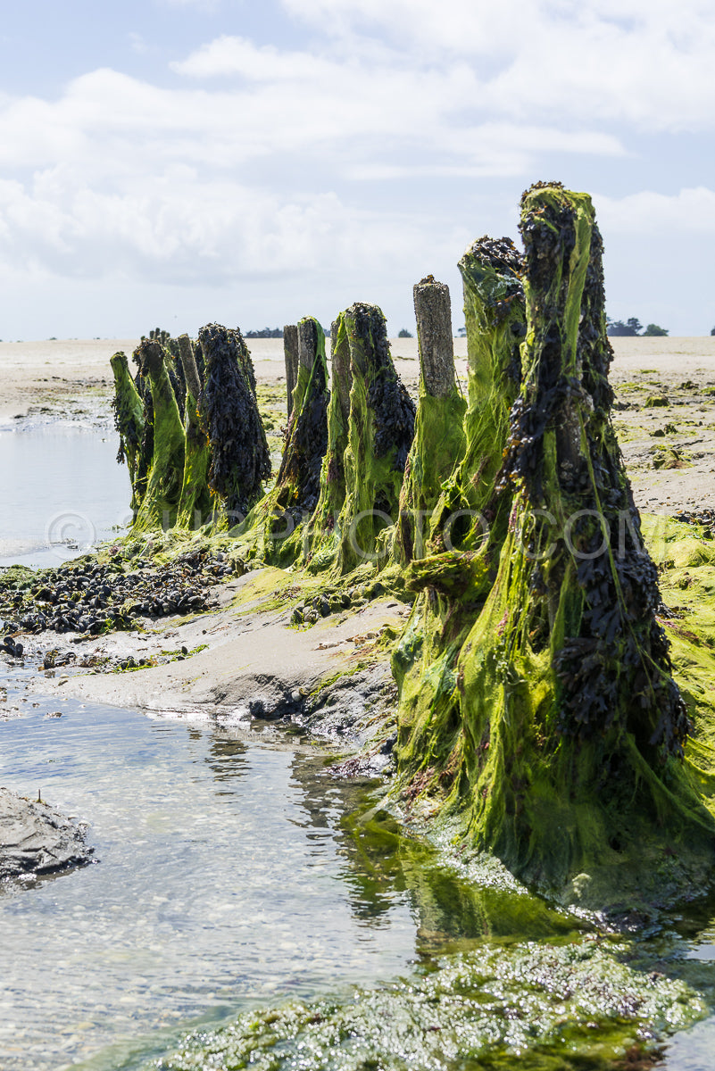 Le grand Traict- low tide- Le Croisic- Bretagne- France