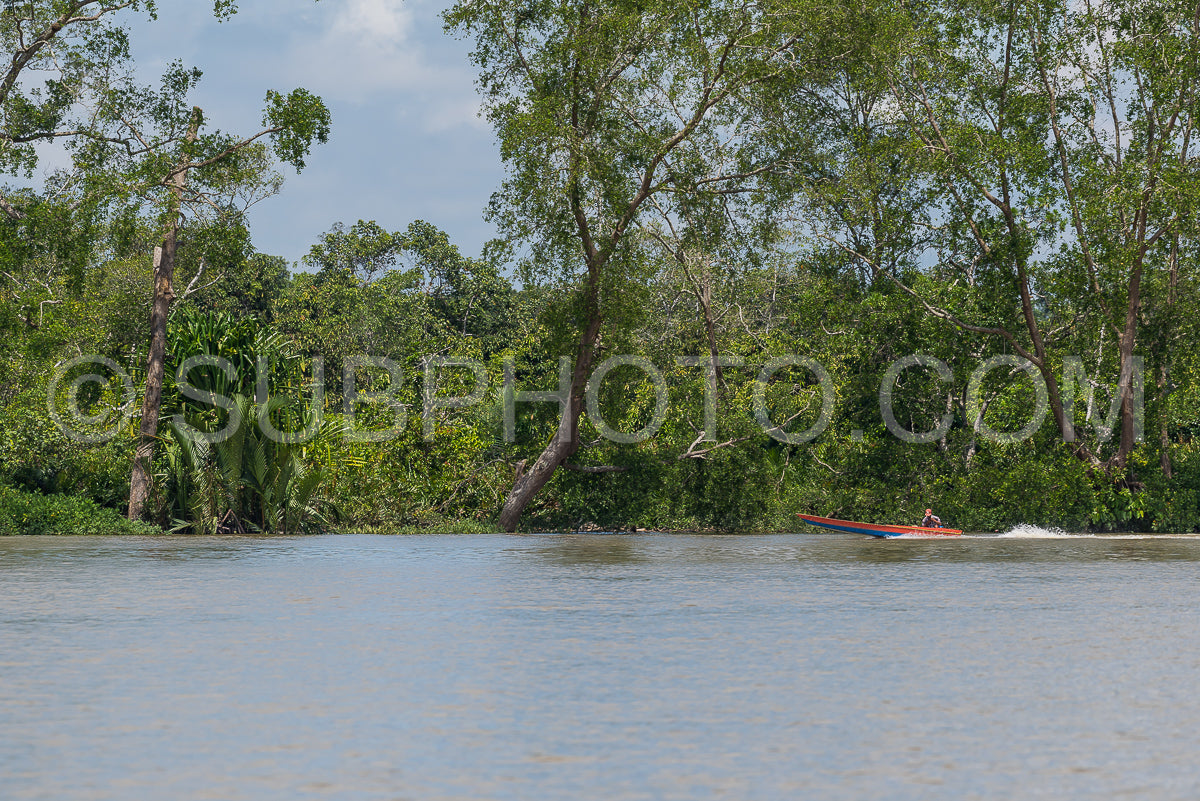 Photo de Croisière en bateau en bois sur la rivière Berau - Bornéo - Kalimantnan - Indonésie