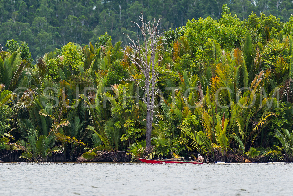 Photo de Croisière en bateau en bois sur la rivière Berau - Bornéo - Kalimantnan - Indonésie