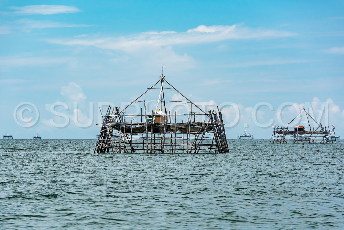 Traditional fishing structure built with bamboo called Bagang- Berau- Kalimantan- Borneo- Indonesia- Asia