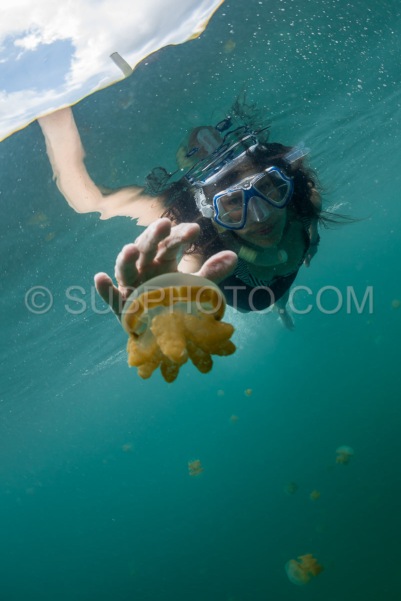 woman snorkeling with Martigias Papua Jellyfish- Jellyfish Lake- Kakaban- Indonesia