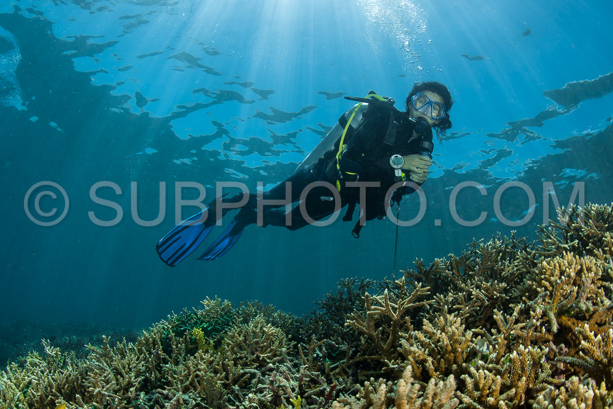 Photo de plongeur sur un récif corallien peu profond avec des rayons de soleil