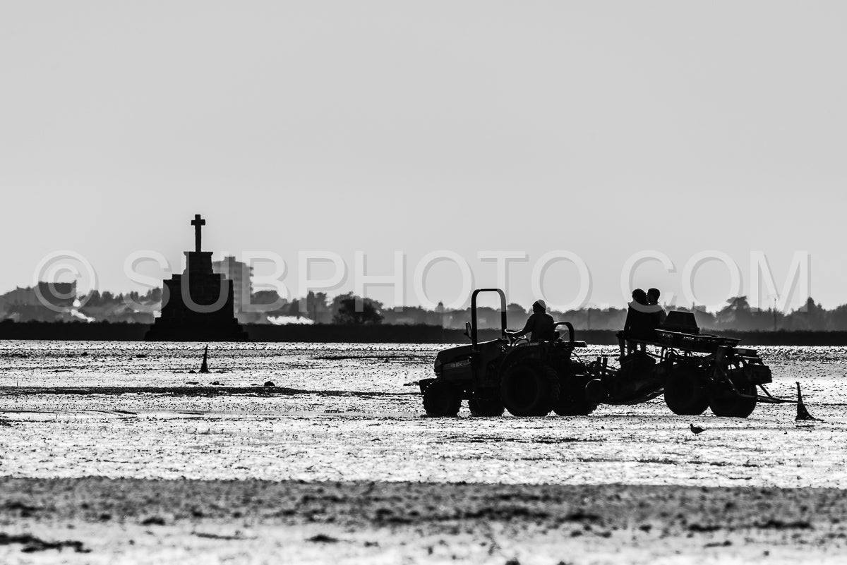 Man harvesting shells at low tide in front of a shelter cross in the morning