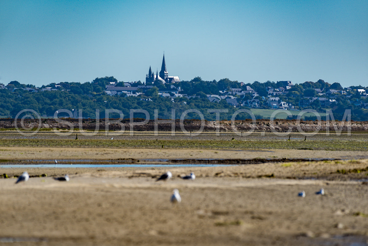 Collegiale Saint-Aubin of Guérande viewed from the sea