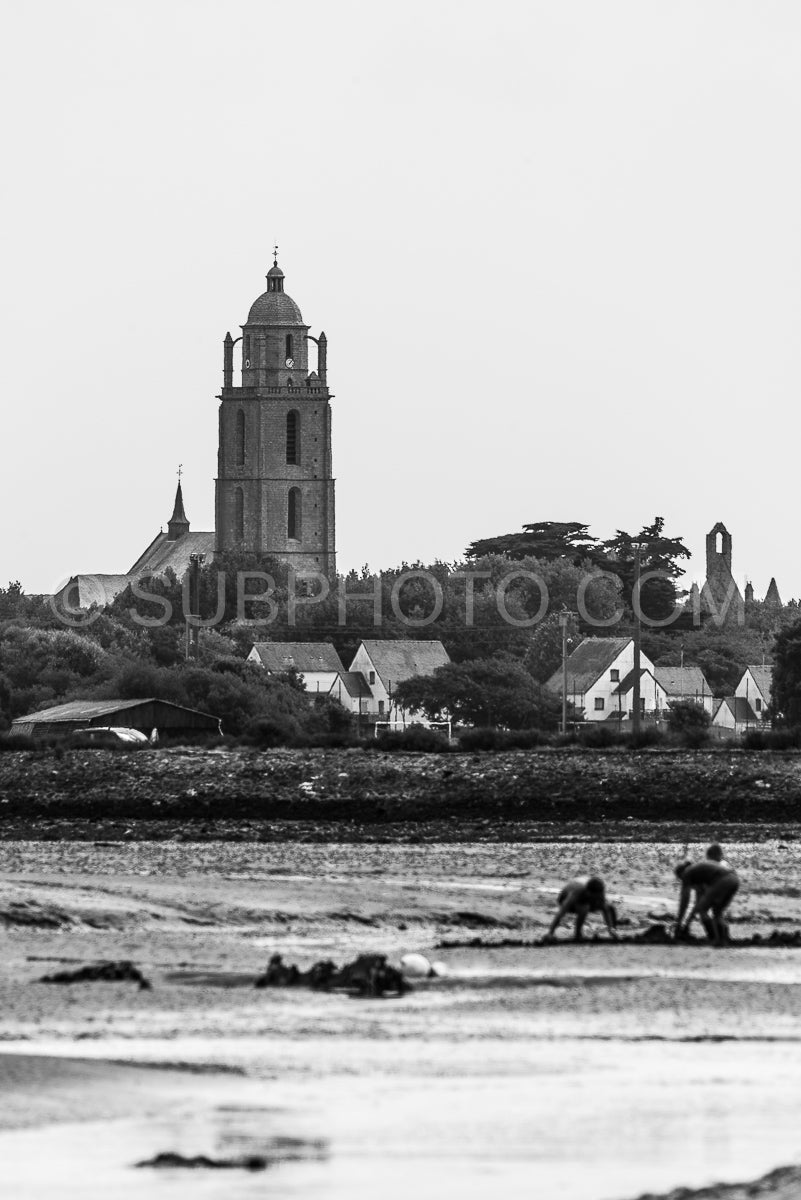 People harvesting shells at low tide in front of Batz church in the morning