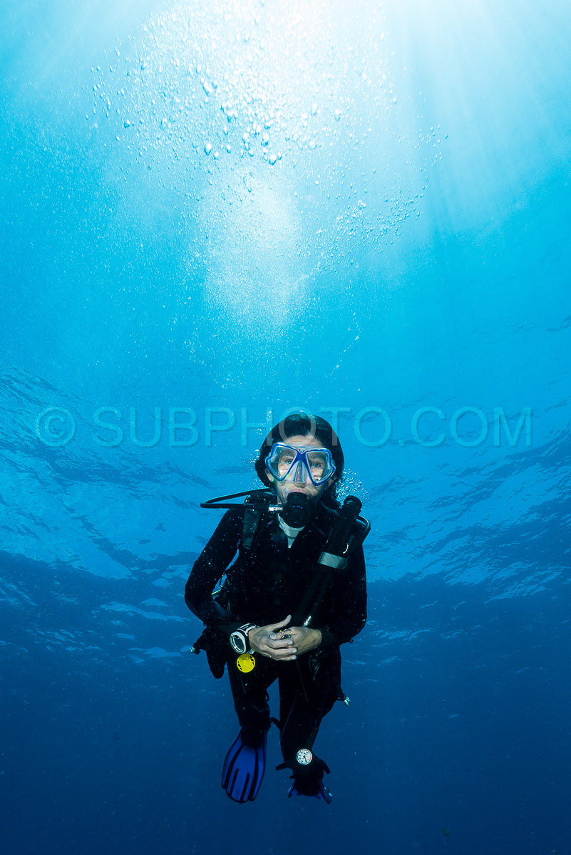 Photo de femme plongeant sous l'eau sur un récif tropical coloré avec des gorgones, des coraux et des éponges à Rajat Ampat, en Indonésie.