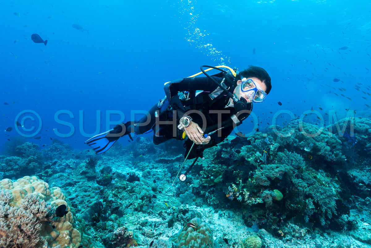 Photo de femme plongeant sous l'eau sur un récif tropical coloré avec des coraux et des éponges à Rajat Ampat en Indonésie.