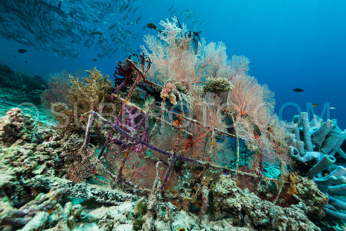 man-made artificial reef with metal struture and concrete to help marine life to recover destroyed area