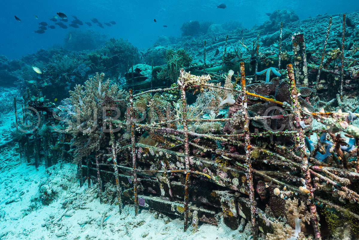 man-made artificial reef with metal struture and concrete to help marine life to recover destroyed area