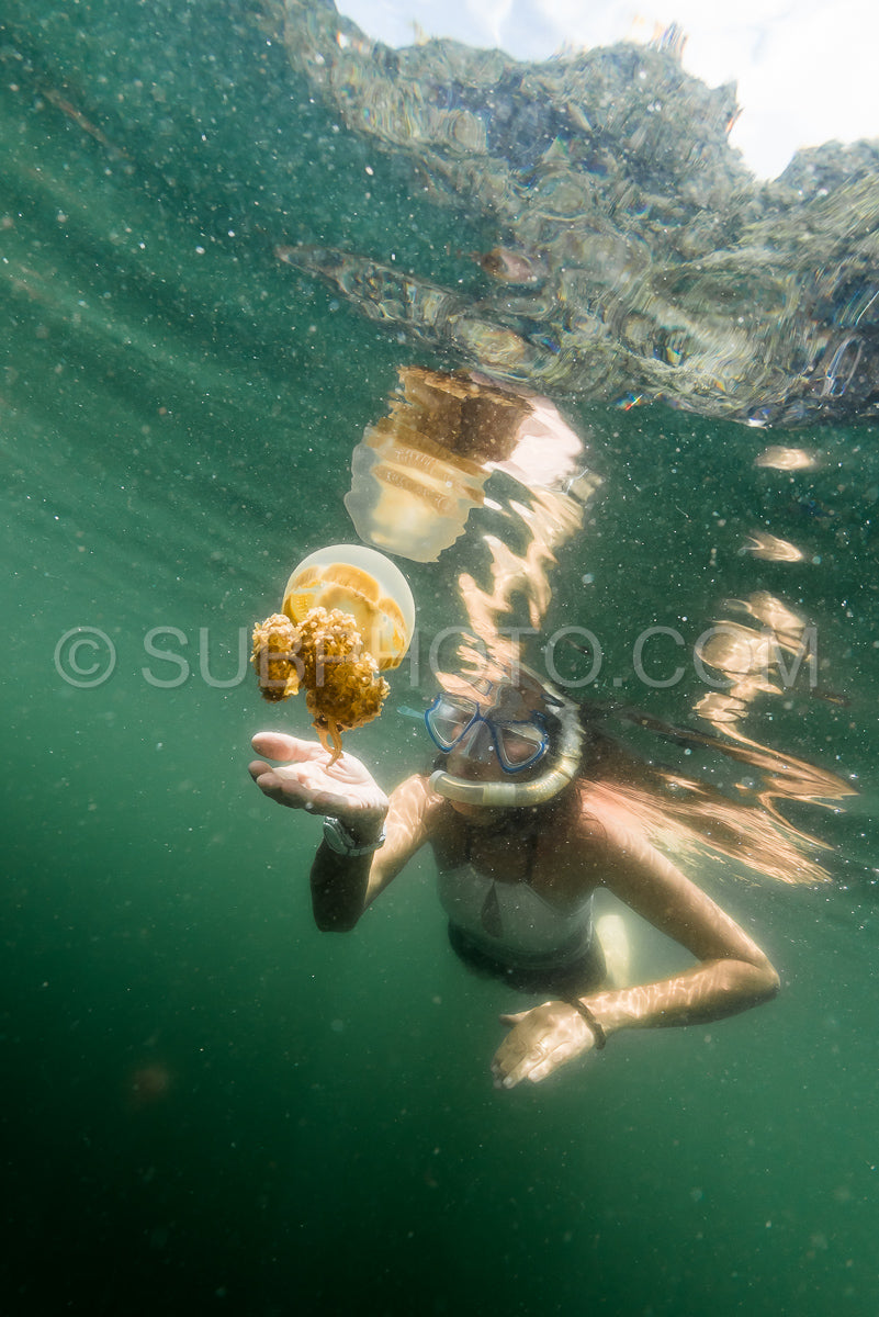 woman snorkeling with Martigias Papua Jellyfish Jellyfish lake Misool Indonesia