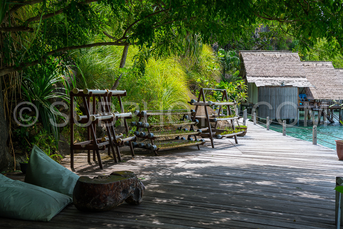 diving resort in the Raja Ampat- Indonesia