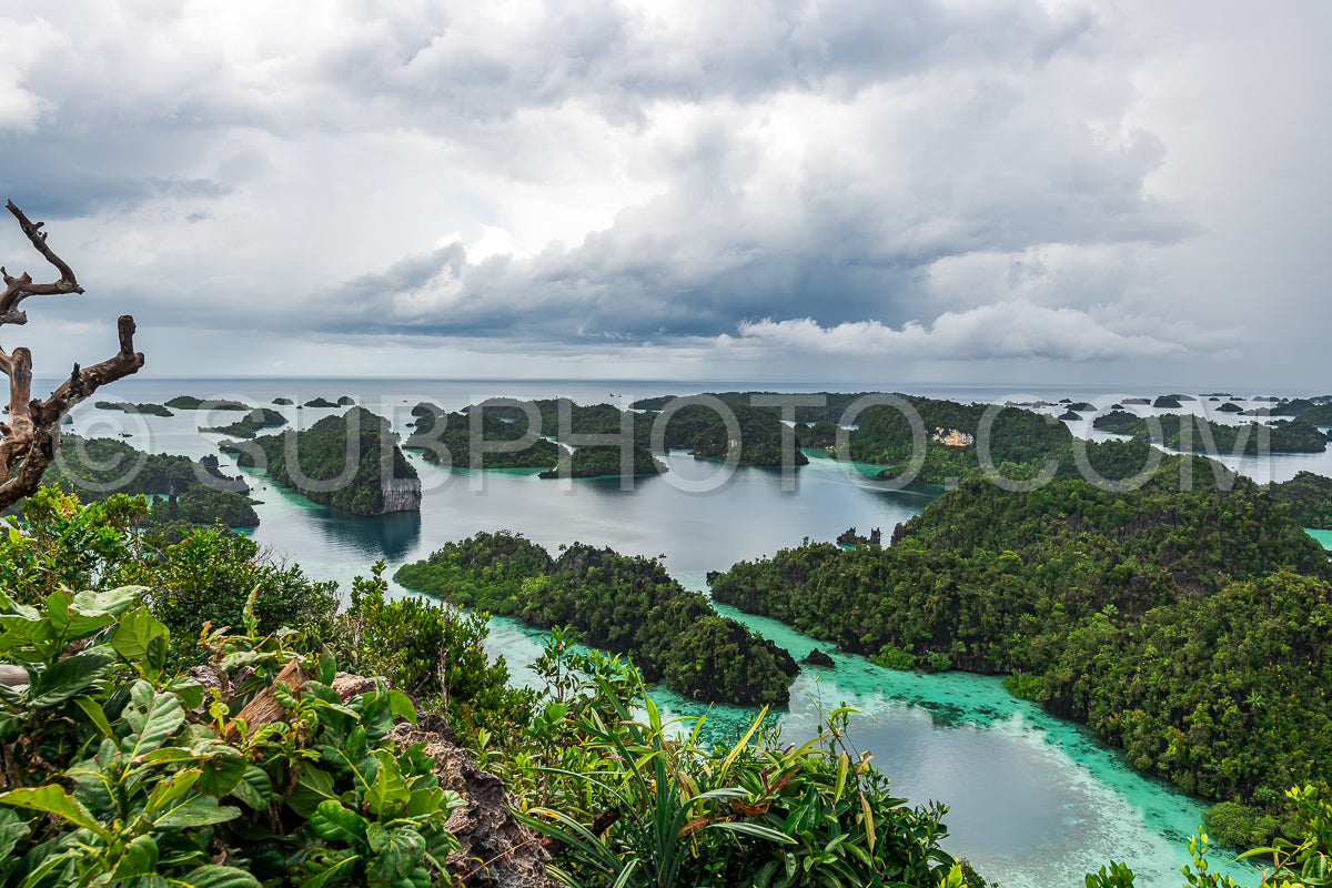 Photo de East Misool- groupe de petites îles dans un lagon bleu peu profond- Raja Ampat- Papouasie occidentale- Indonésie