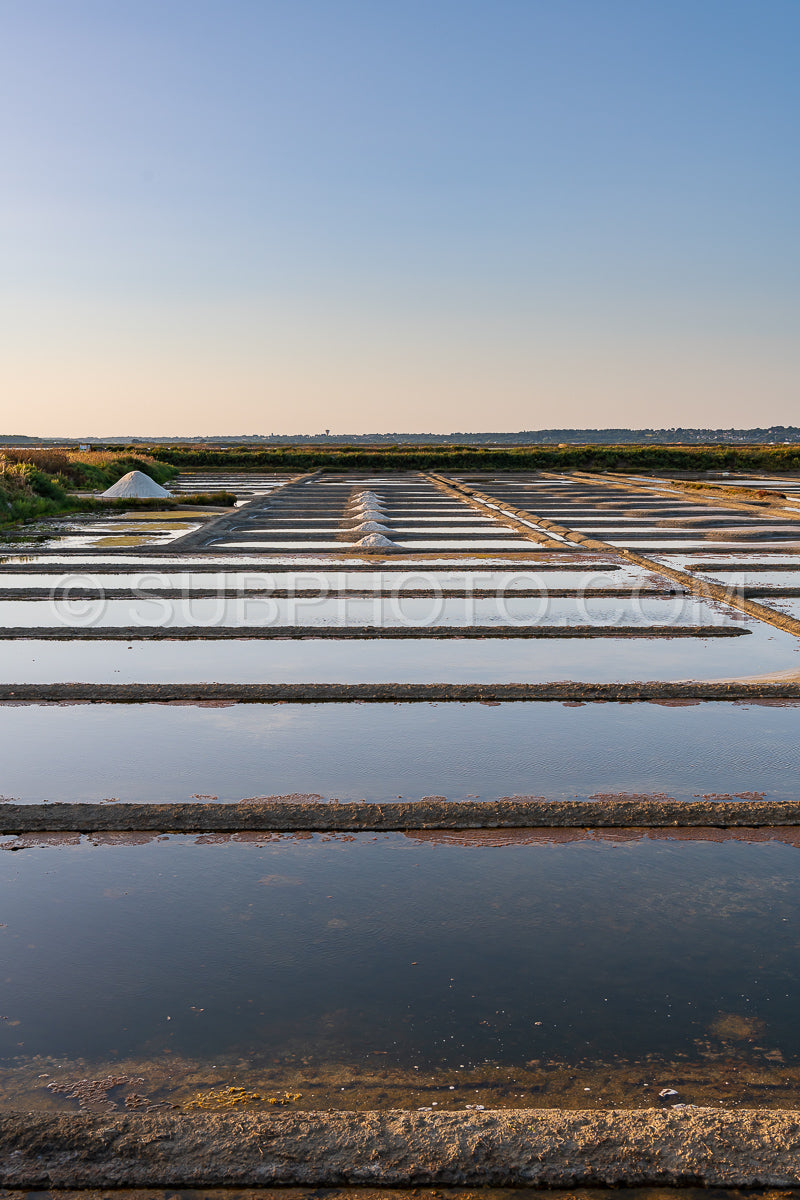 salt marsh at sunset