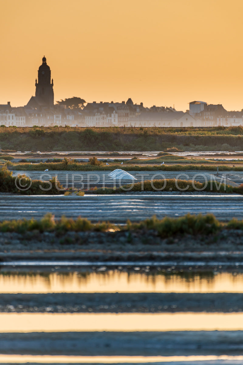 salt marsh at sunset
