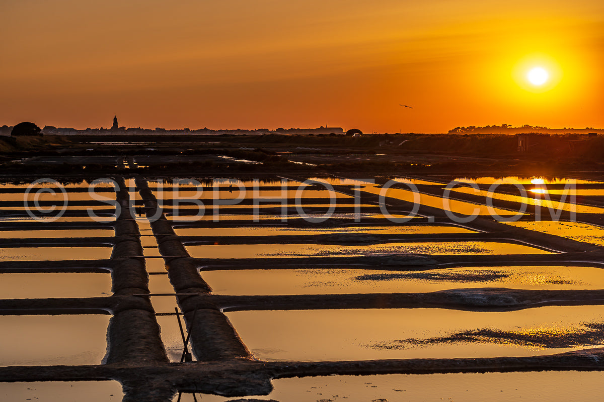 salt marsh at sunset