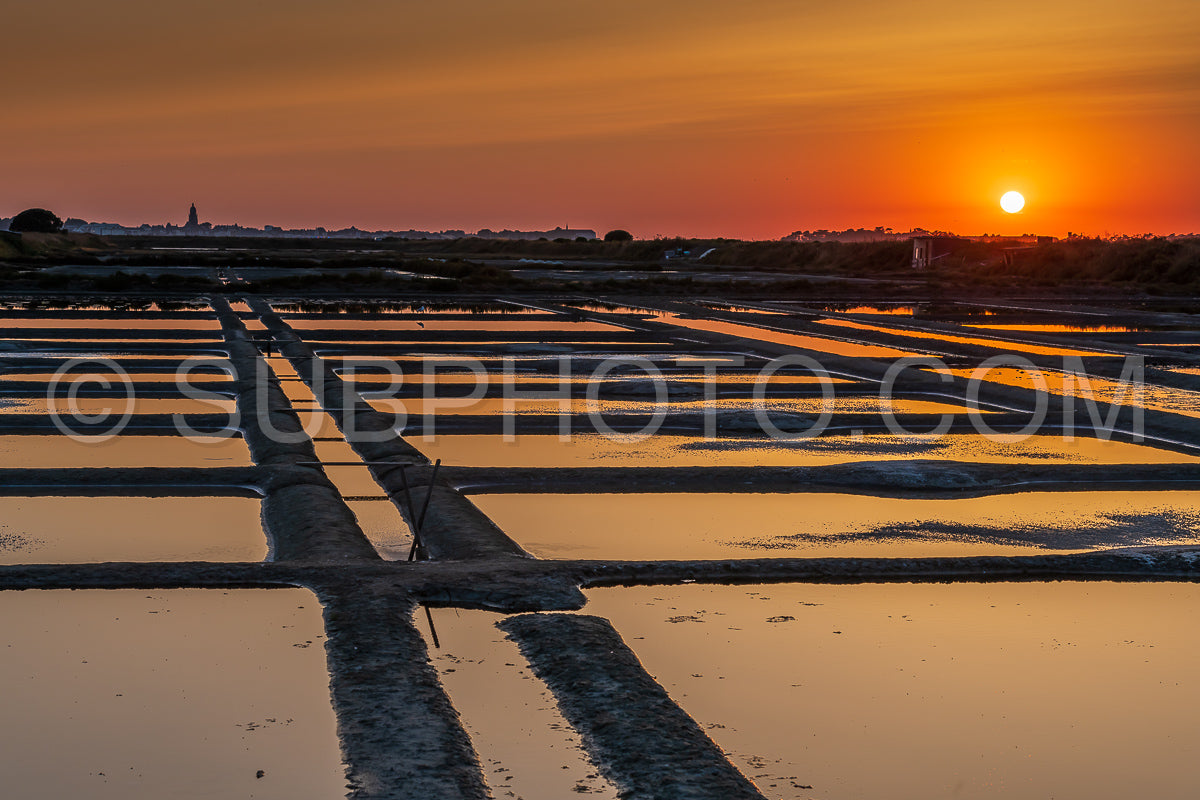 salt marsh at sunset
