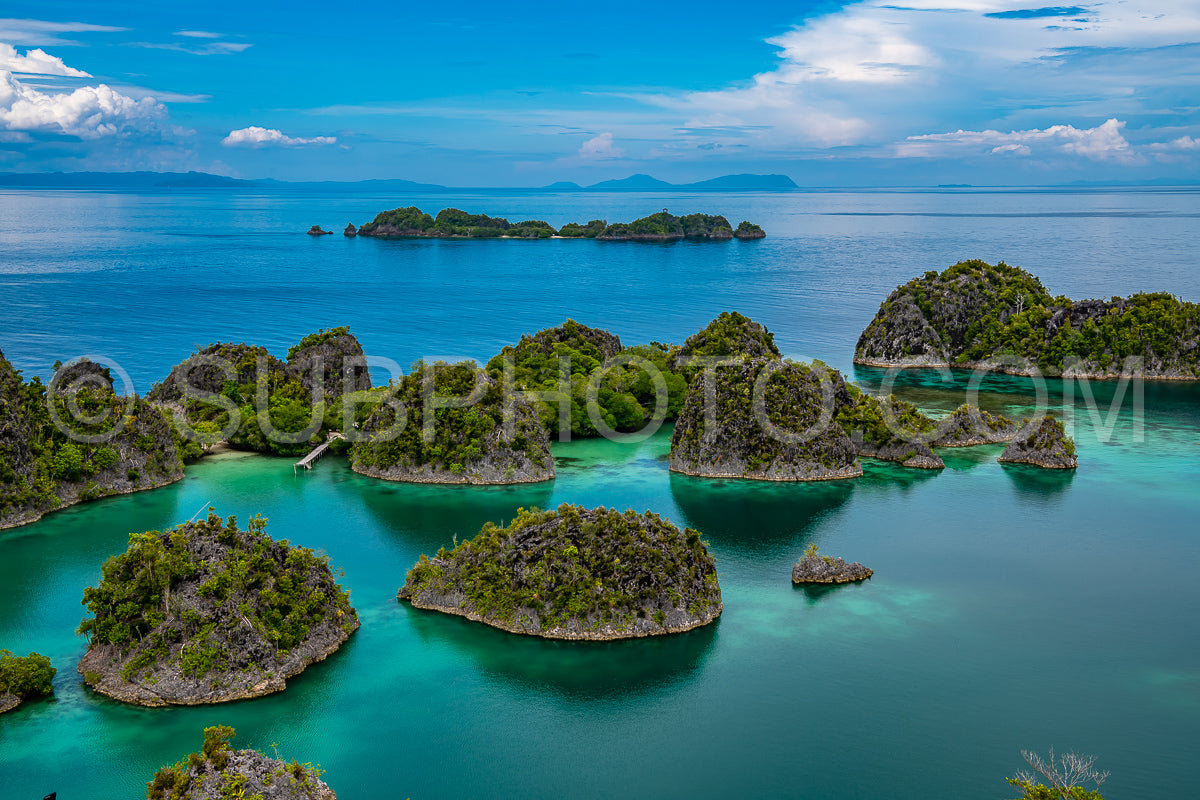 Waigeo- Kri- Mushroom Island- group of small islands in shallow blue lagoon water- Raja Ampat- West Papua- Indonesia