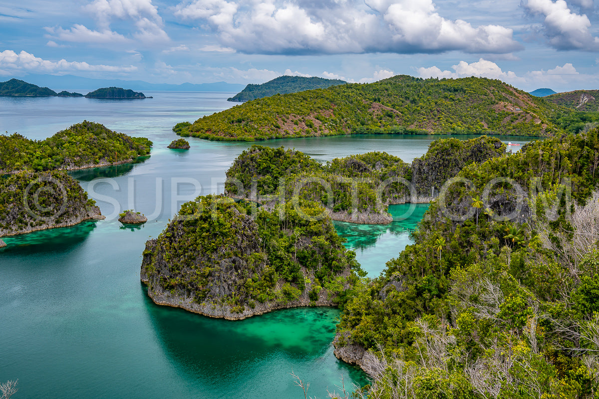Waigeo- Kri- Mushroom Island- group of small islands in shallow blue lagoon water- Raja Ampat- West Papua- Indonesia