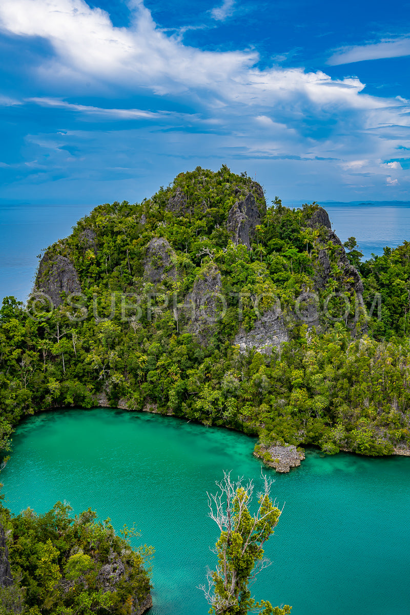 Waigeo- Kri- Mushroom Island- group of small islands in shallow blue lagoon water- Raja Ampat- West Papua- Indonesia