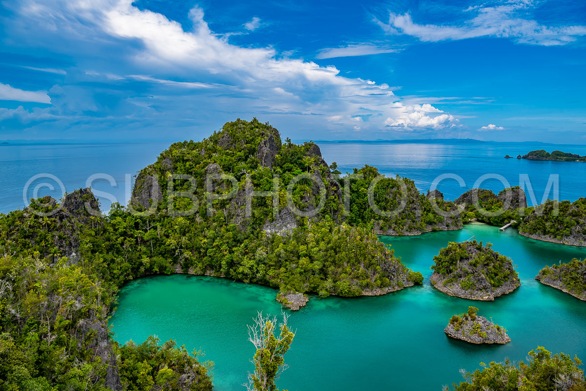 Waigeo- Kri- Mushroom Island- group of small islands in shallow blue lagoon water- Raja Ampat- West Papua- Indonesia