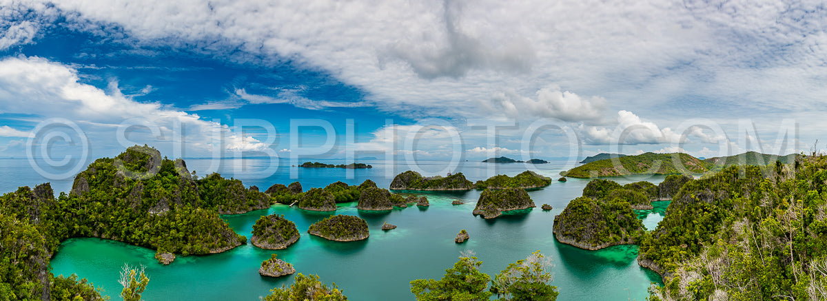 Waigeo- Kri- Mushroom Island- group of small islands in shallow blue lagoon water- Raja Ampat- West Papua- Indonesia