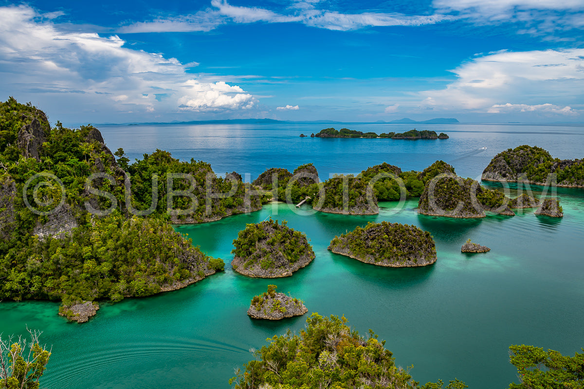 Waigeo- Kri- Mushroom Island- group of small islands in shallow blue lagoon water- Raja Ampat- West Papua- Indonesia
