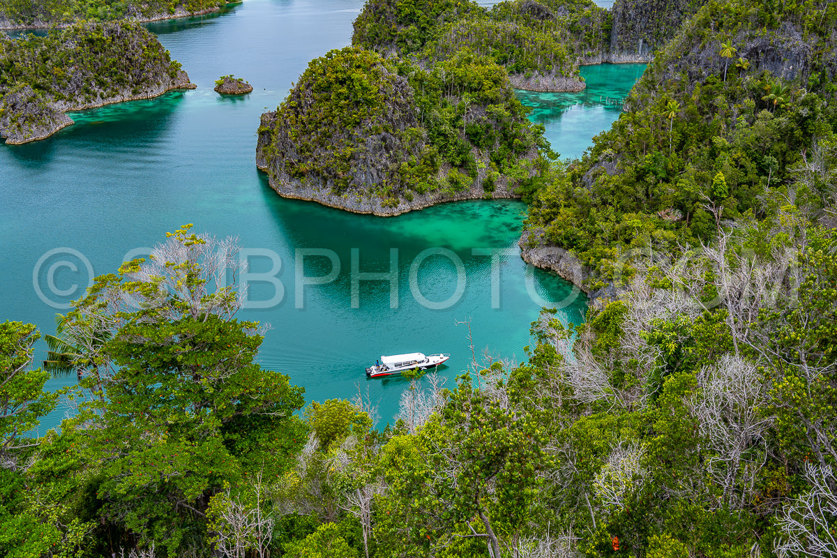 Waigeo- Kri- Mushroom Island- group of small islands in shallow blue lagoon water- Raja Ampat- West Papua- Indonesia