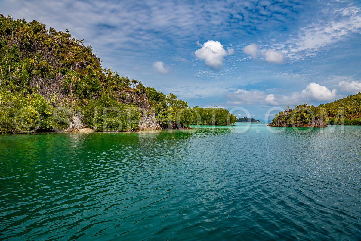 Waigeo- Kri- Mushroom Island- group of small islands in shallow blue lagoon water- Raja Ampat- West Papua- Indonesia
