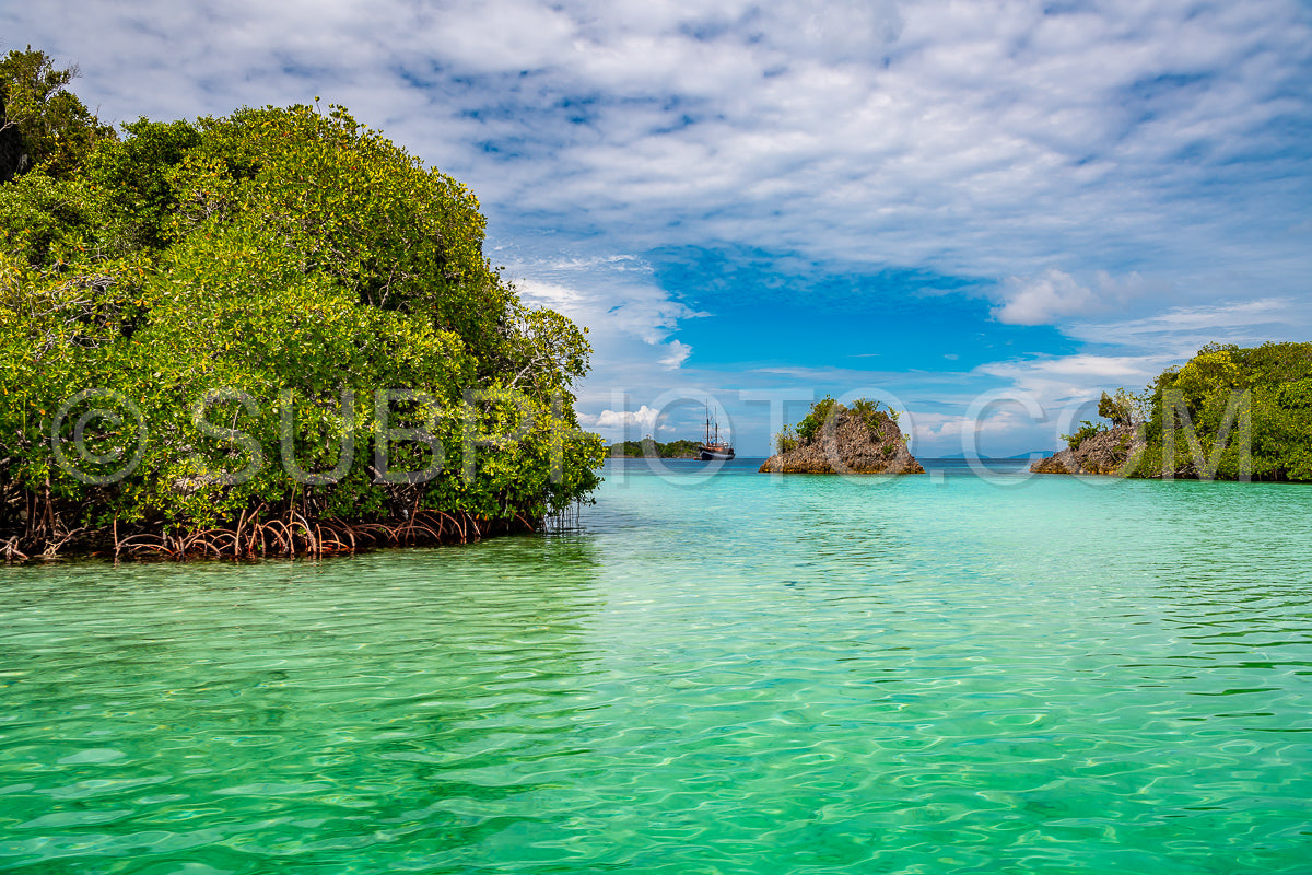 Waigeo- Kri- Mushroom Island- group of small islands in shallow blue lagoon water- Raja Ampat- West Papua- Indonesia