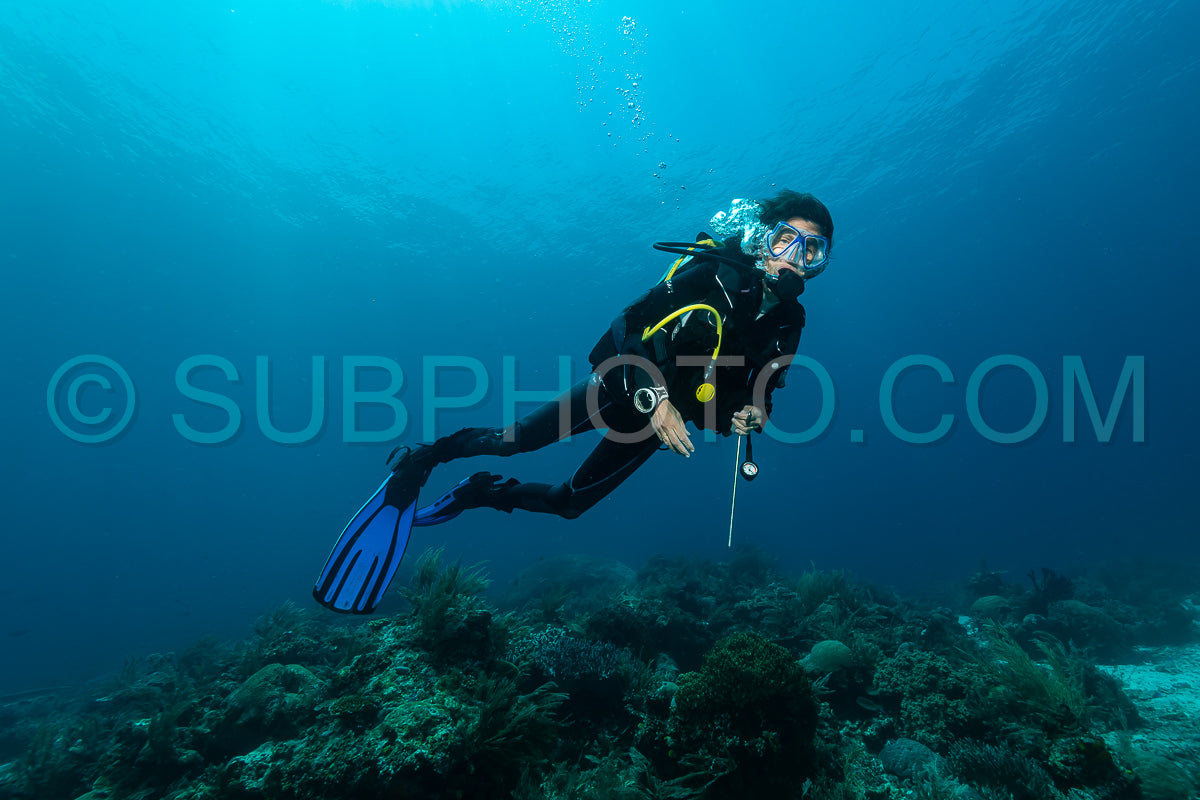woman diver over a tropical reef
