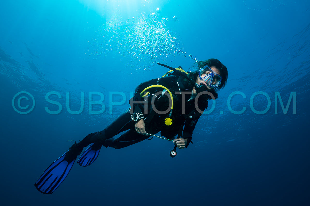 woman diver over a tropical reef