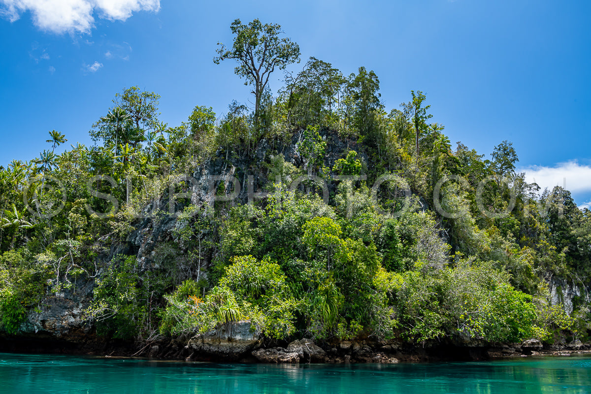 Waigeo- Kri- Mushroom Island- group of small islands in shallow blue lagoon water- Raja Ampat- West Papua- Indonesia