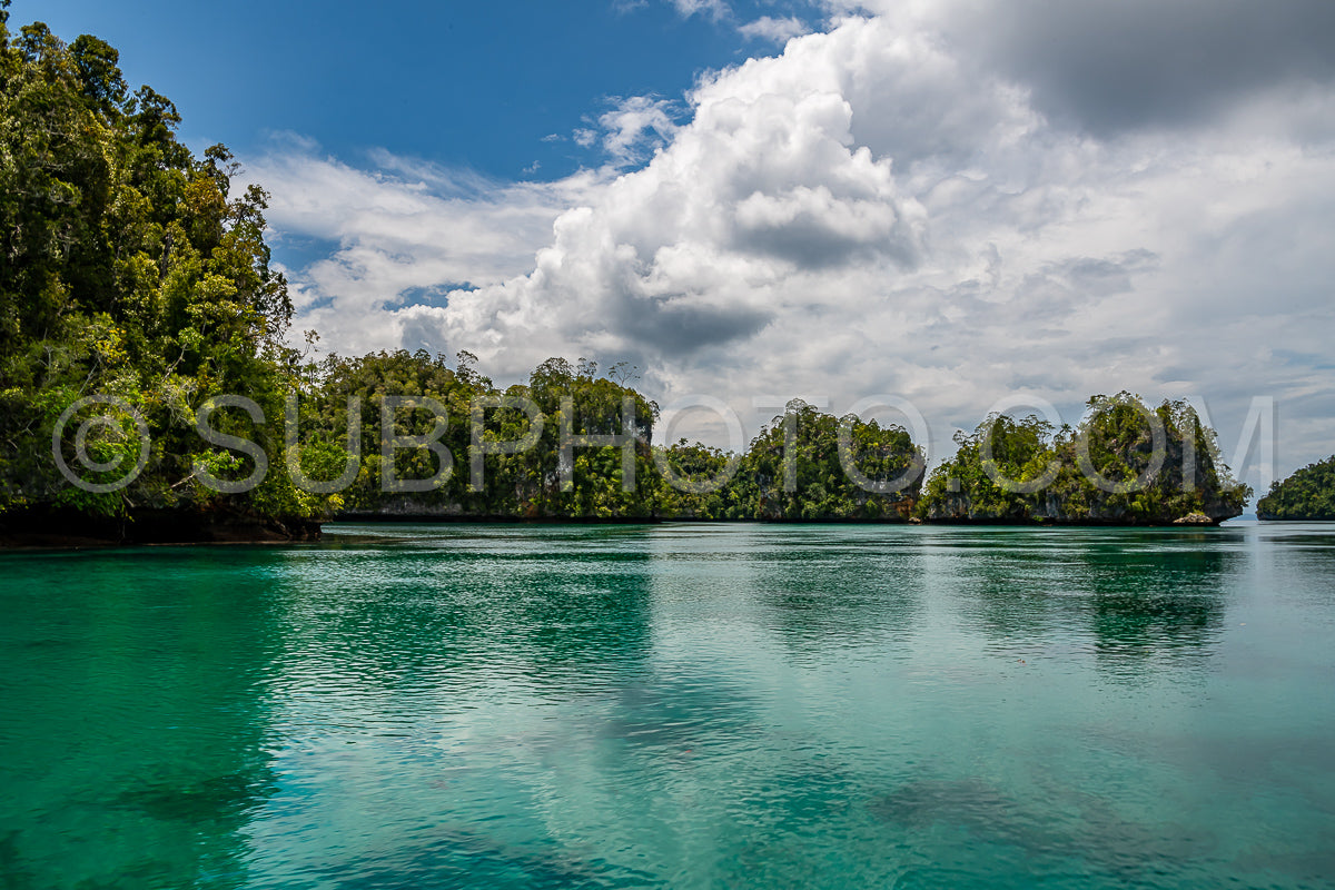 Waigeo- Kri- Mushroom Island- group of small islands in shallow blue lagoon water- Raja Ampat- West Papua- Indonesia