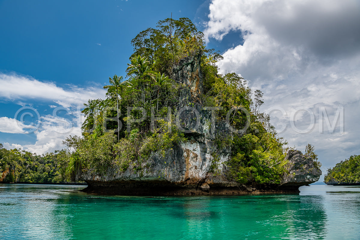 Waigeo- Kri- Mushroom Island- group of small islands in shallow blue lagoon water- Raja Ampat- West Papua- Indonesia