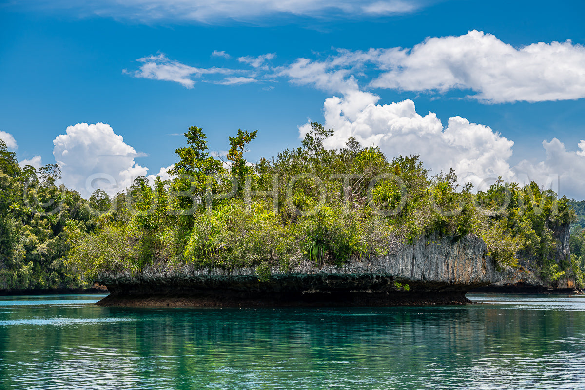 Waigeo- Kri- Mushroom Island- group of small islands in shallow blue lagoon water- Raja Ampat- West Papua- Indonesia