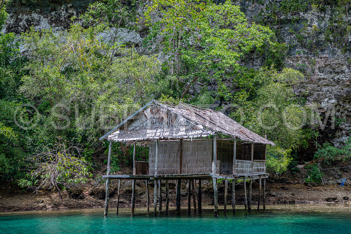 Photo de Waigeo- Kri- Mushroom Island- groupe de petites îles dans un lagon bleu peu profond- Raja Ampat- Papouasie occidentale- Indonésie