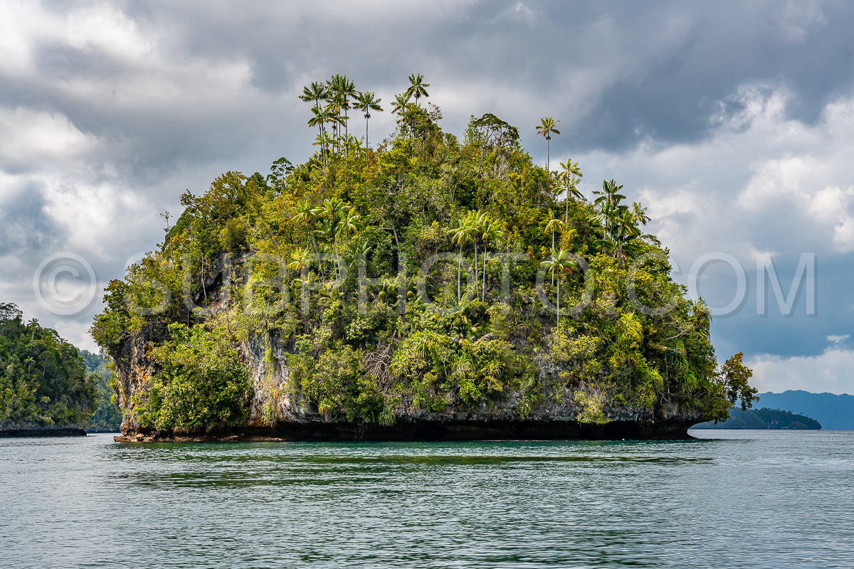Waigeo- Kri- Mushroom Island- group of small islands in shallow blue lagoon water- Raja Ampat- West Papua- Indonesia