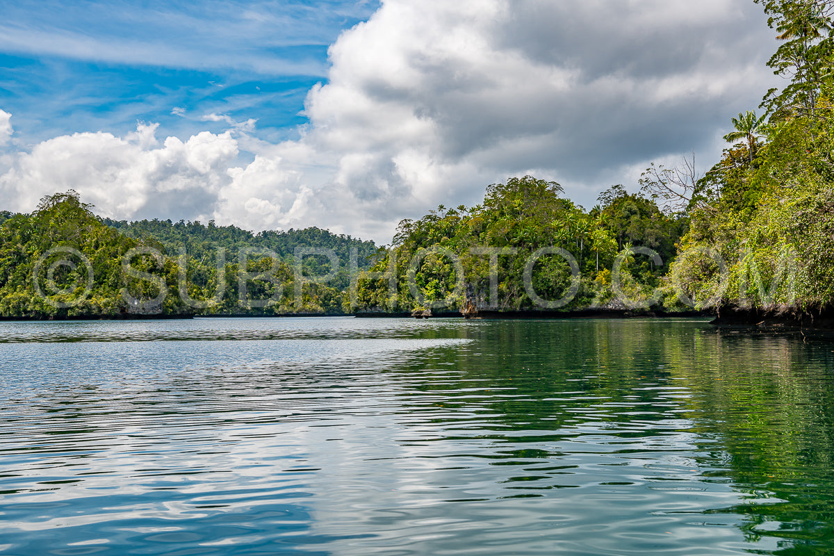 Waigeo- Kri- Mushroom Island- group of small islands in shallow blue lagoon water- Raja Ampat- West Papua- Indonesia